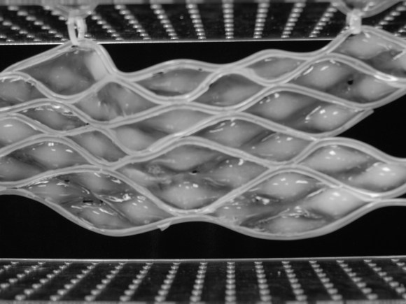 SKIN: Soft Kinetic Network